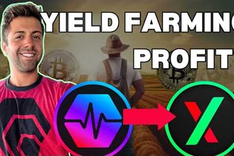 Crypto Liquidity Farming Exposed
