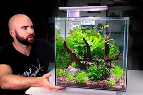 ALL IN ONE CUBE aquarium kit: jungle style planted tank w/ ROCKET Killifish