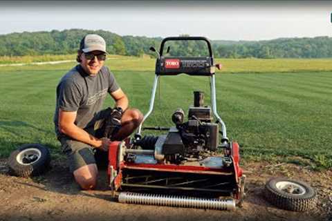 My New REEL MOWER + Shade Lawn Plot Updates