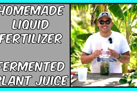 Homemade Liquid Fertilizer - Natural Farming-Fermented Plant Juice