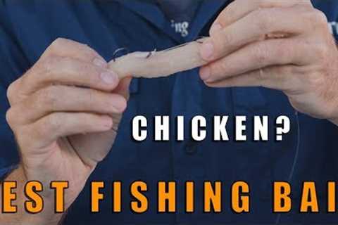 BEST FISHING BAIT | Fishing with Chicken? | CoastFishTV Tackle Chat S02E05