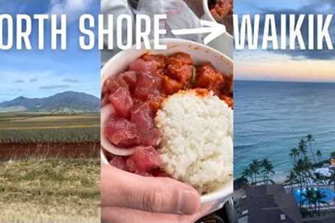 Travelling from the North Shore to Waikiki | Room tour Halepuna Waikiki Hotel