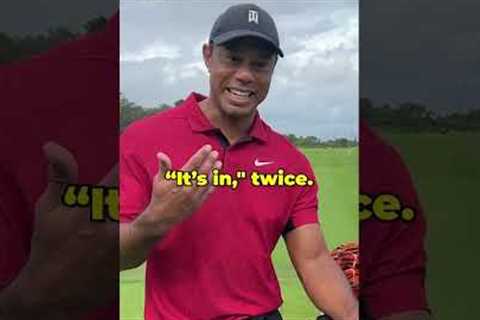 Tiger Wood's Greatest Ever Shot #shorts