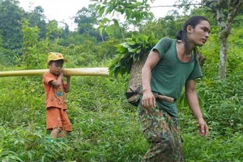 with the boy digging cassava to cook pig bran, catching stream fish, farm life, survival alone