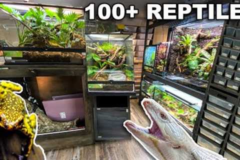 REPTILE ROOM TOUR JULY 2023!! 100+ REPTILES in one room!