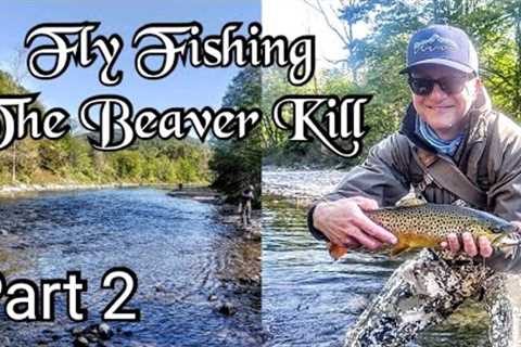Catskills Fly Fishing The Beaver Kill Part 2
