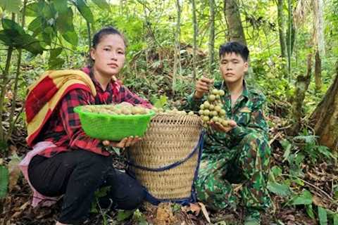 Harvesting forest fruits to bring to the market sell - my family's daily life