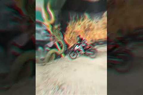 NS200 NS160 NS125 BIKE CRASH SHORT's video #shorts #viral #trending #ns200 #ns160 #ns125 #bikelover