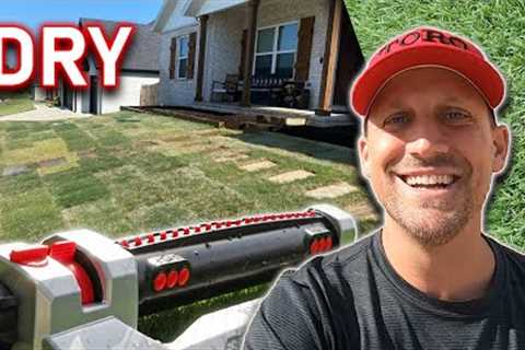 Simple Tips to WATER YOUR LAWN or NEW SOD Correctly--Follow These &amp; Your Grass Will Survive..