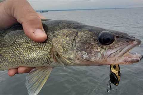 Oneida Lake Fishing Report | TGIF Edition