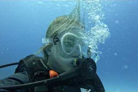 Scuba diving day 3 Cayman Island