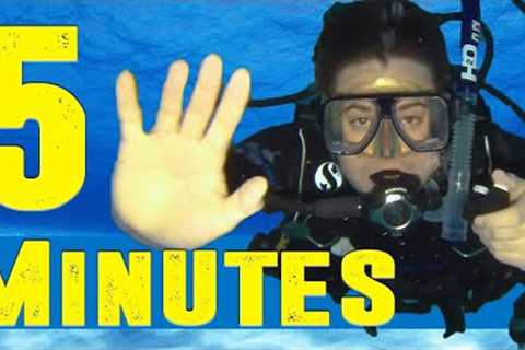 PADI Open Water: How to Scuba Dive in 5 Minutes