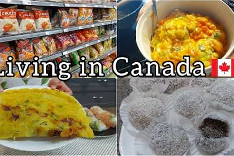 Daily life living in Canada| Grocery shopping | Mochi | Vietnamese salad rolls, crispy pancakes