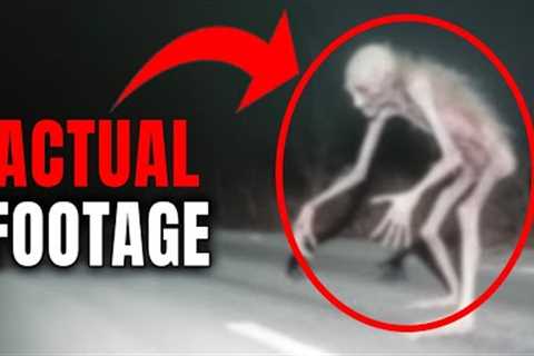 Unbelievable Encounter Caught on Trail Cam: You'll Never Believe What Happened Next!
