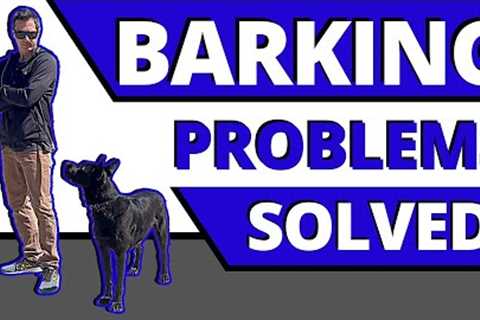 Step by Step Solutions to Fix Unwanted Barking so you can Meet People in the Real World.