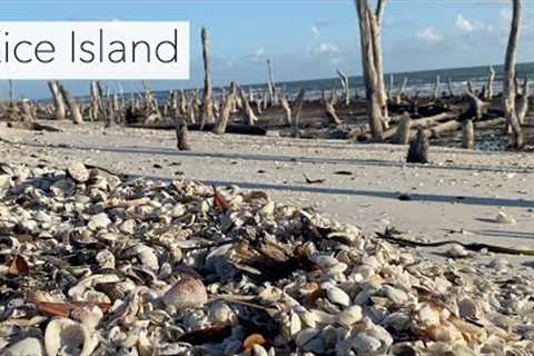 Island Hopping Looking for Shells. Florida Gulf Coast Shelling.