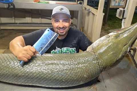 CLEANING AND FILLETING ALLIGATOR GAR FROM START TO FINISH