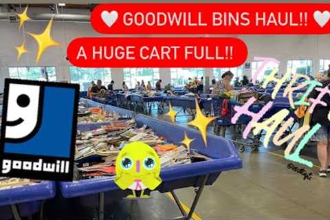 Come To Goodwill Bins With Me! Massive Goodwill HAUL! Thrifting For Resale! Part 2!
