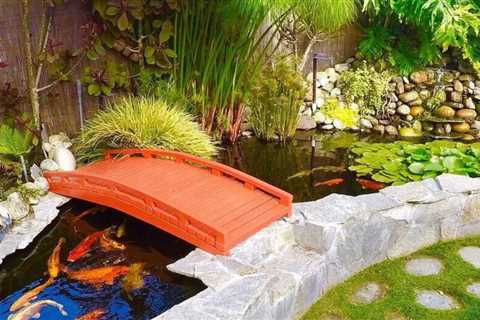 Eight Backyard Koi pond Ideas