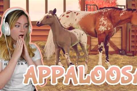 BREEDING GORGEOUS APPALOOSA COATS - Rival Stars Horse Racing | Pinehaven