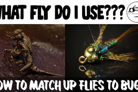 Fly Fishing Entomology 101: How To Decide Which Fly Pattern To Use