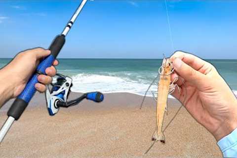 BIG FISH ate my LIVE SHRIMP! (Catch and Cook) Epic Beach Fishing