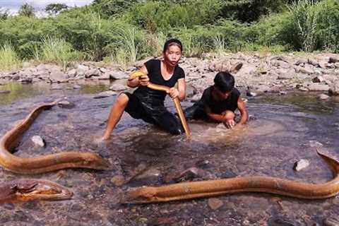 Wow! Found and Big eel in river for food - Eel soup spicy delicious Eating with Younger brother