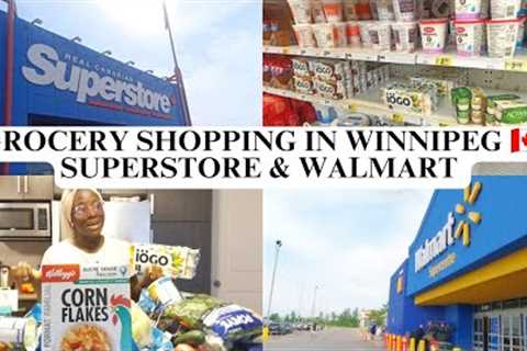 OUR MONTHLY GROCERY SHOPPING IN WINNIPEG, CANADA 🇨🇦 + FULL GROCERY HAUL &amp; HOW MUCH WE SPENT