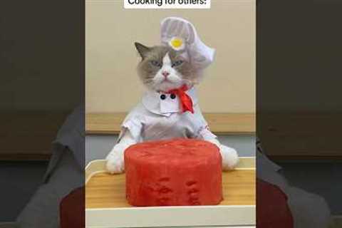 How every Chef be like 😂 #thatlittlepuff #cooking #hacks