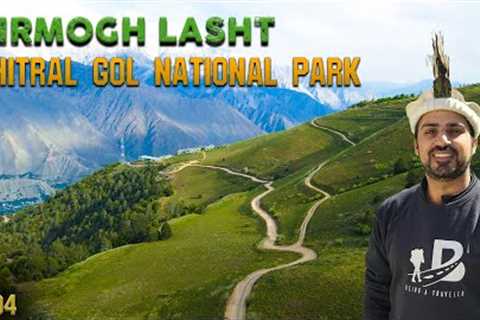 IN SEARCH OF MARKHOR | CHITRAL GOL NATIONAL PARK - BIRMOGH LASHT TOP | EP-04 | CHITRAL SERIES
