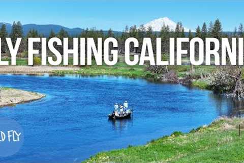 Fishing California's Largest Spring Creek (for Prehistoric Rainbow Trout)