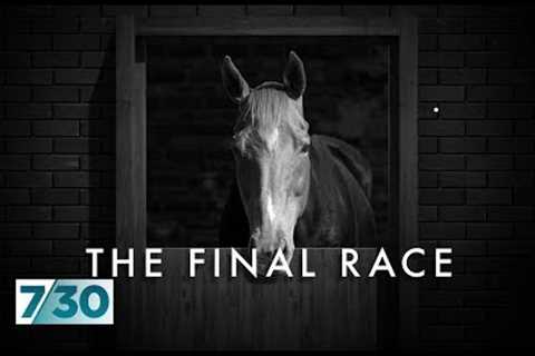 The dark side of Australia's horse racing industry | 7.30