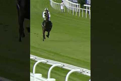 Jockey jumps off horse at 40mph!