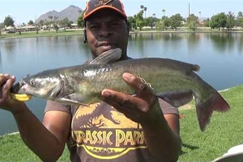 FISHING AT CHAPARRAL LAKE