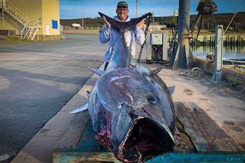 $1,000,000.00 FISH {Catch Clean Cook} GIANT BlueFin TUNA!!!
