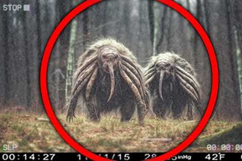 You WON'T Believe What This Trail Cam Caught