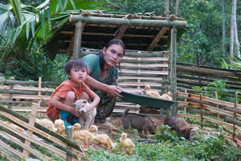 with the boy building a duck house, farm life, survival alone