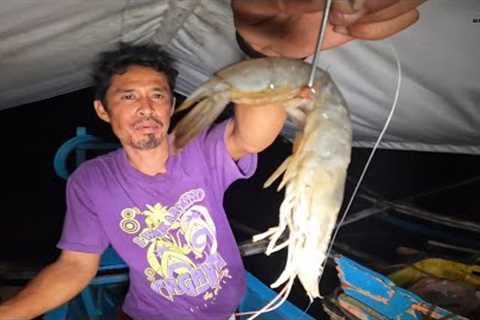 Night fishing using shrimp for bait | CATCH AND COOK