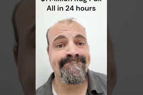 #shorts $5.5 MILLION Rug Pull by Chibi | crypto scams | crypto scam | bitcoin scam  bitcoin scams