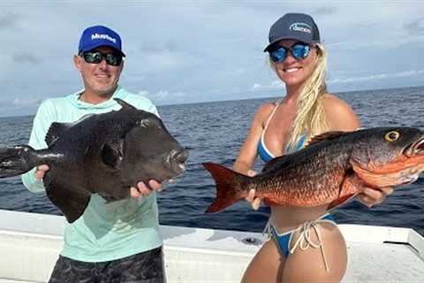 Trash Fish vs Prized Snapper (Catch Clean &amp; Cook)