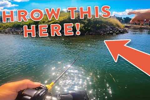 Summer Bass Fishing Tips On Lake Guntersville with Andrew Nordbye!