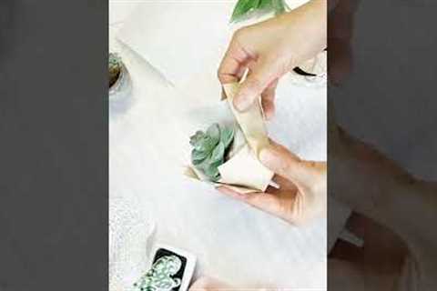 EASY DIY Succulent Gift Wrapping | Gift, Wedding, Party Favor Packaging ideas Creative