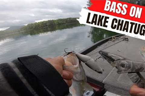 Lake Chatuge Spring Bass Fishing