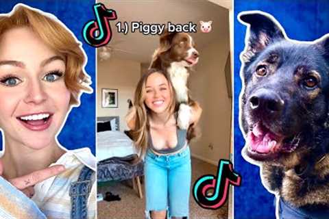 Teaching My Dog VIRAL Tricks