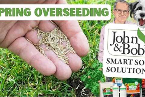 Overseeding Lawn In Spring | Spring Lawn Care