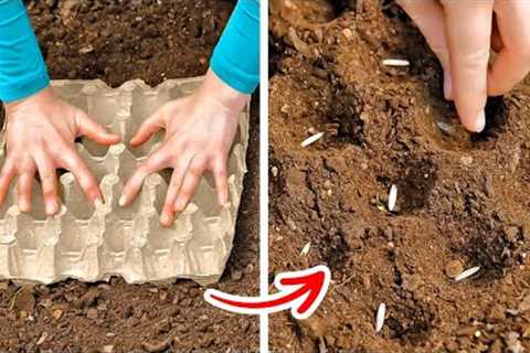 Simple Plant Growing Hacks And DIY Garden Tools