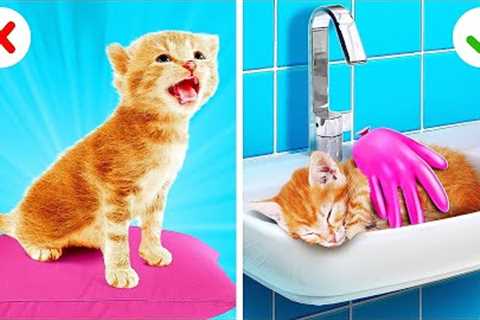 Save This Tiny Cat | Secret Hacks for Pet Owners!