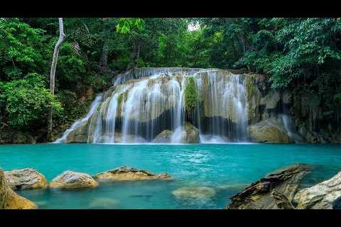 Relaxing Music for Stress Relief and Healing - Heal Your Nervous System and Your Soul, Calming Music