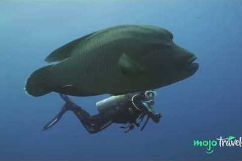 Top 10 Most Awesome Scuba Diving Spots Ever