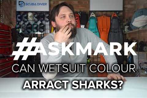 Can The Colour Of My Wetsuit Attract Sharks? #askmark